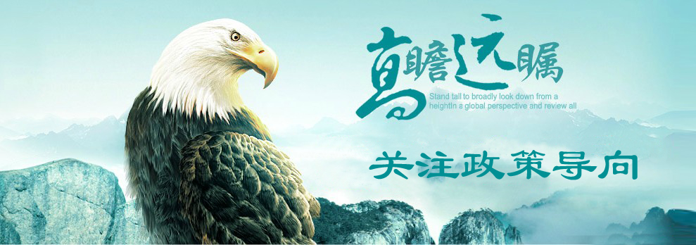 金彩汇(中国)有限公司官网